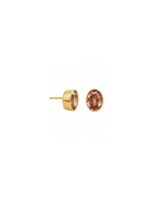 Bezel Studs- Brown