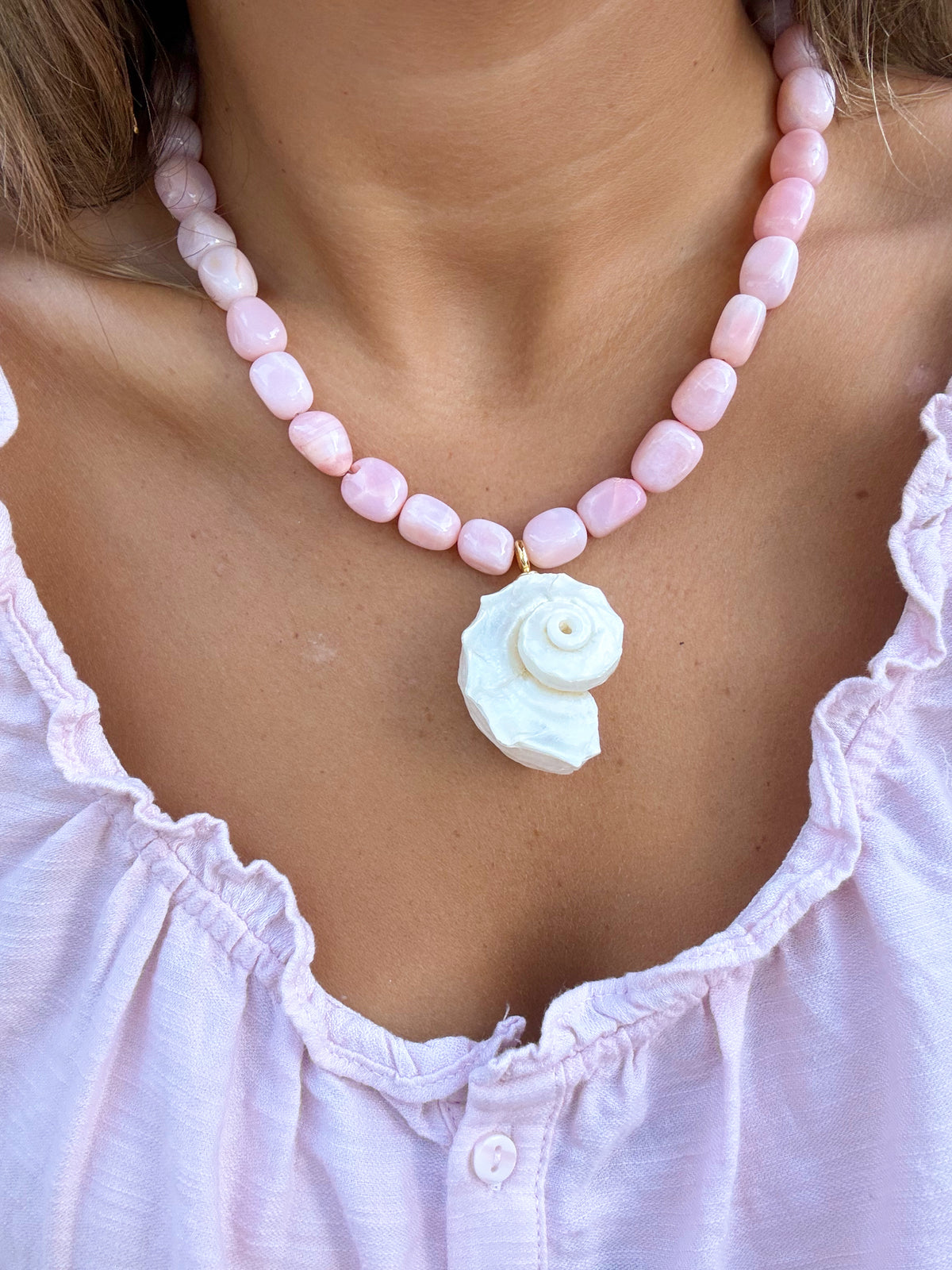 Conch Shell