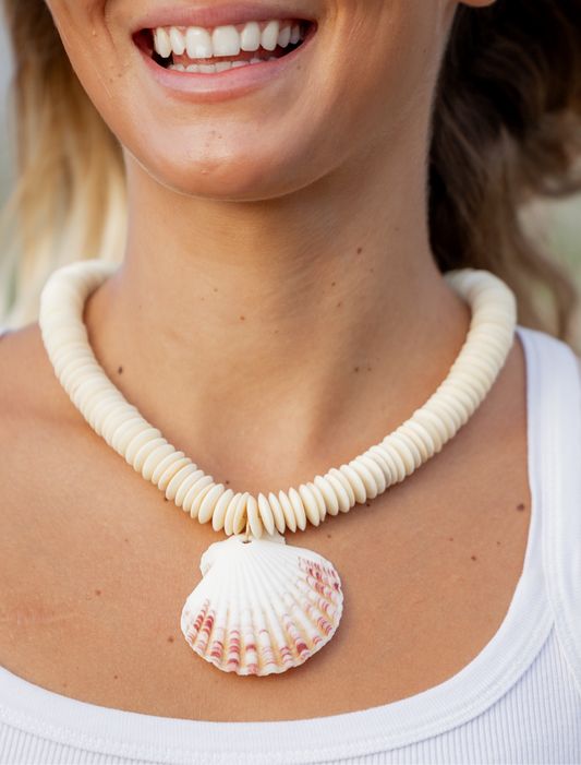 The Sandbar Shell