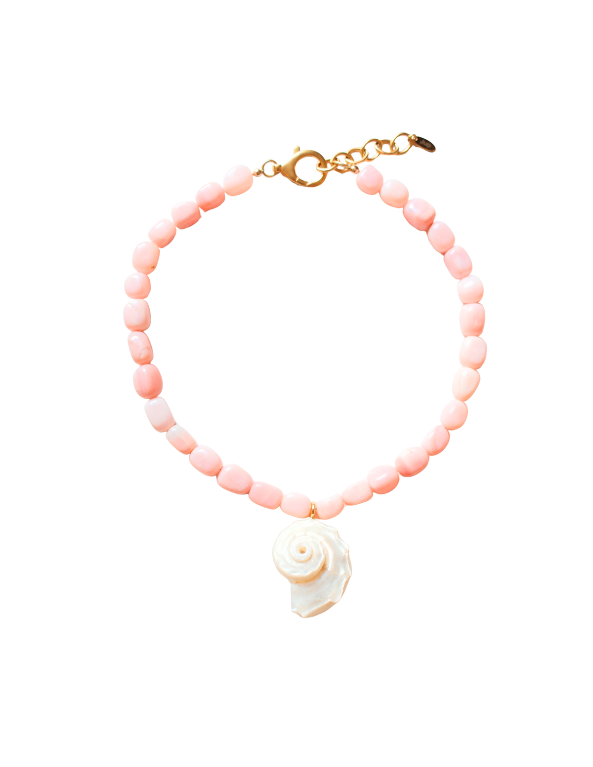 Conch Shell