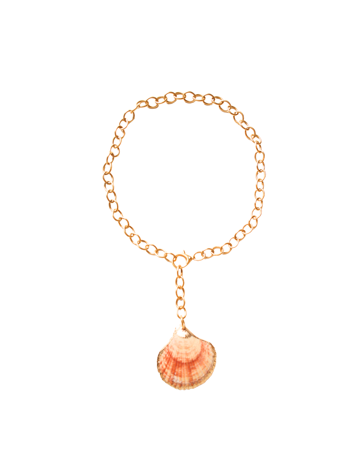 Seashell Drop